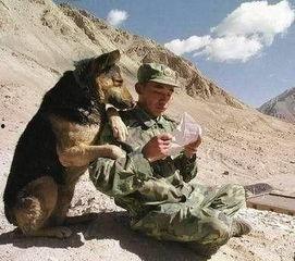 建军搞笑图,建军搞笑图集锦，欢乐瞬间尽收眼底