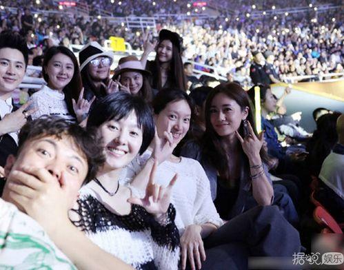 刘芸八卦,揭秘明星背后的故事与争议