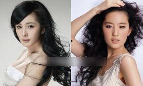 明星乱瘾刘诗诗刘亦菲,明星光环下的自律与蜕变